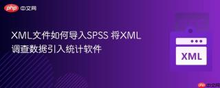 XML文件如何导入SPSS 将XML调查数据引入统计软件