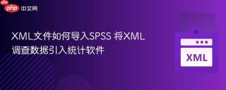 xml文件如何导入spss 将xml调查数据引入统计软件