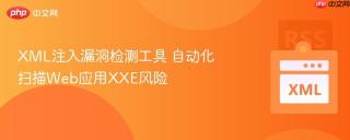 xml注入漏洞检测工具 自动化扫描web应用xxe风险