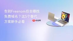 告别Freenom后去哪找免费域名？这5个替代方案新手必看