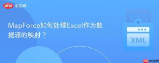 mapforce如何处理excel作为数据源的映射?