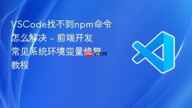 vscode找不到npm命令怎么解决 - 前端开发常见系统环境变量修复教程