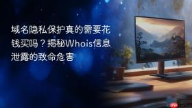 域名隐私保护真的需要花钱买吗？揭秘Whois信息泄露的致命危害