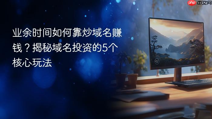 业余时间如何靠炒域名赚钱?揭秘域名投资的5个核心玩法