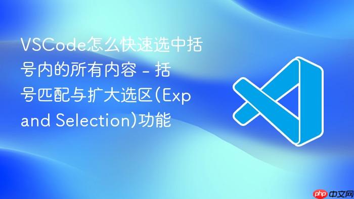 vscode怎么快速选中括号内的所有内容 - 括号匹配与扩大选区(expand selection)功能