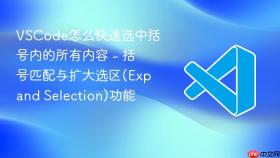 vscode怎么快速选中括号内的所有内容 - 括号匹配与扩大选区(expand selection)功能