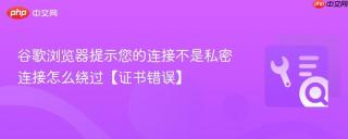 谷歌浏览器提示您的连接不是私密连接怎么绕过【证书错误】