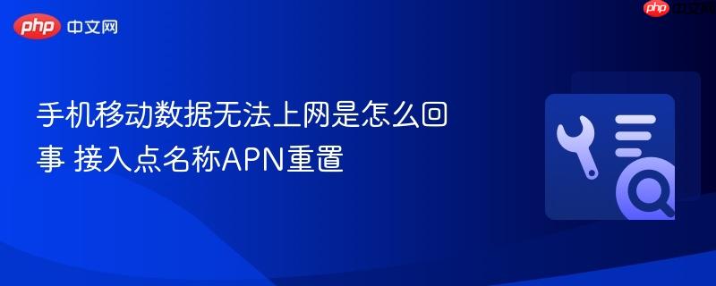 手机移动数据无法上网是怎么回事 接入点名称apn重置