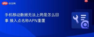 手机移动数据无法上网是怎么回事 接入点名称apn重置