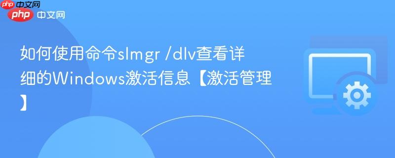 如何使用命令slmgr /dlv查看详细的windows激活信息【激活管理】