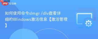 如何使用命令slmgr /dlv查看详细的windows激活信息【激活管理】
