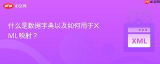 什么是数据字典以及如何用于XML映射？