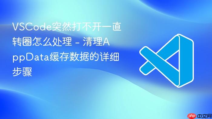 vscode突然打不开一直转圈怎么处理 - 清理appdata缓存数据的详细步骤