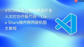 VSCode怎么和同事进行多人实时协作敲代码 - Live Share插件跨网联机图文教程