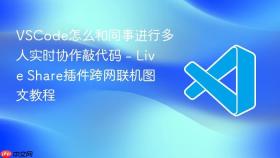 vscode怎么和同事进行多人实时协作敲代码 - live share插件跨网联机图文教程