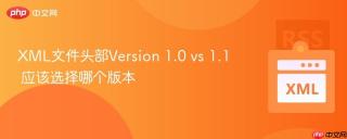 XML文件头部Version 1.0 vs 1.1 应该选择哪个版本