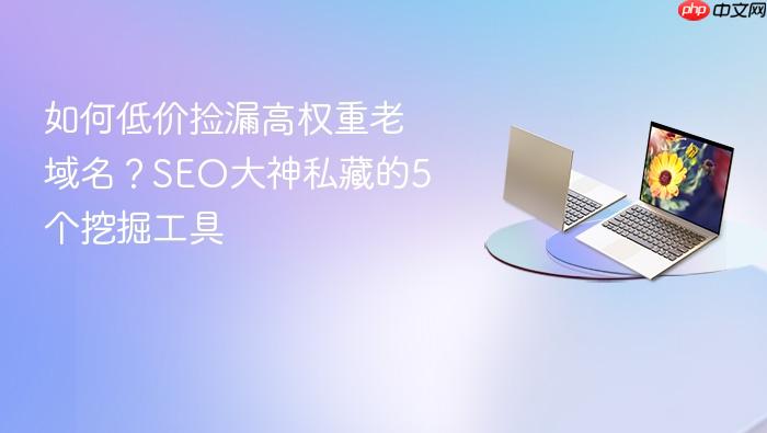 如何低价捡漏高权重老域名？seo大神私藏的5个挖掘工具