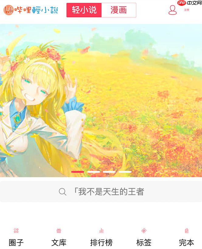 哔哩轻小说加载不出来怎么办 网页打不开解决方法【技巧】