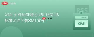 xml文件如何通过url访问 iis配置允许下载xml文件