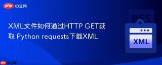 XML文件如何通过HTTP GET获取 Python requests下载XML