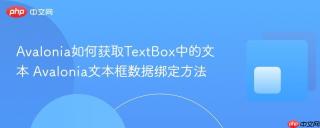 avalonia如何获取textbox中的文本 avalonia文本框数据绑定方法