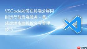 vscode如何在终端分屏同时运行前后端服务 - 集成终端多面板拆分与管理技巧