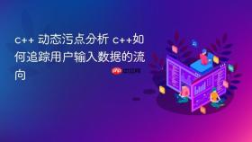 c++ 动态污点分析 c++如何追踪用户输入数据的流向