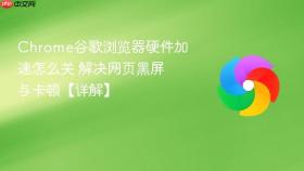 chrome谷歌浏览器硬件加速怎么关 解决网页黑屏与卡顿【详解】