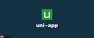 uni-app怎么解决页面白屏 uni-app应用启动渲染优化方案【解决】