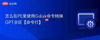 怎么在pe里使用gdisk命令转换gpt分区【命令行】