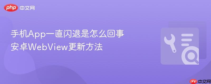 手机app一直闪退是怎么回事 安卓webview更新方法