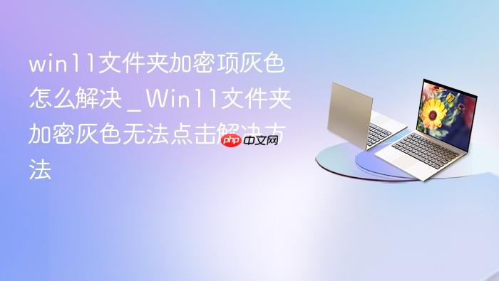 win11文件夹加密项灰色怎么解决 _ win11文件夹加密灰色无法点击解决方法