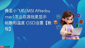 微星小飞机(msi afterburner)怎么在游戏里显示帧数和温度 osd设置【教程】