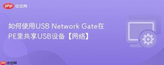如何使用usb network gate在pe里共享usb设备【网络】