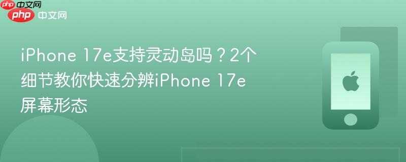 iphone 17e支持灵动岛吗?2个细节教你快速分辨iphone 17e屏幕形态