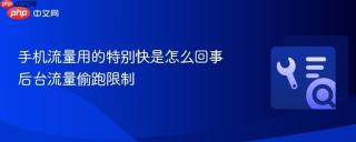 手机流量用的特别快是怎么回事 后台流量偷跑限制
