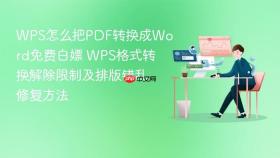 wps怎么把pdf转换成word免费白嫖 wps格式转换解除限制及排版错乱修复方法
