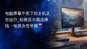电脑屏幕不亮了但主机正在运行_检查显示器连接线、电源及信号源