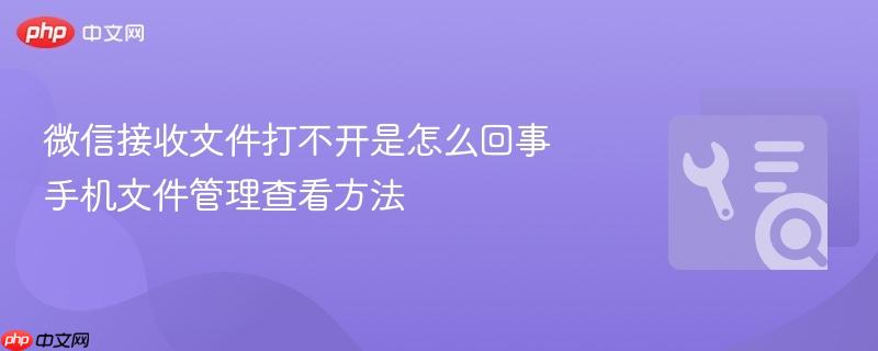 微信接收文件打不开是怎么回事 手机文件管理查看方法