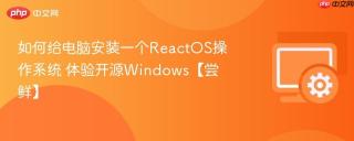 如何给电脑安装一个reactos操作系统 体验开源windows【尝鲜】