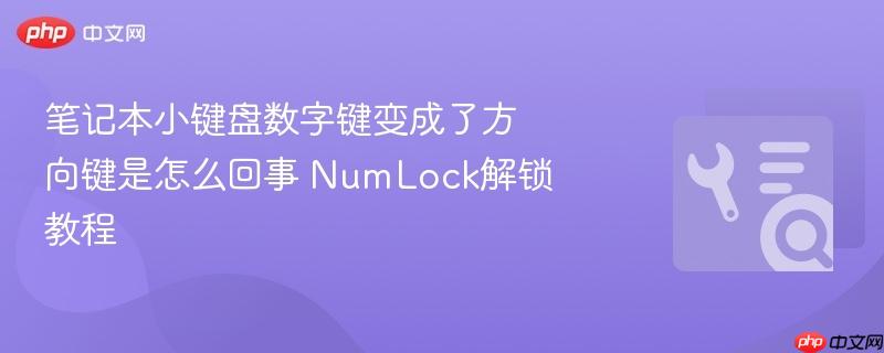 笔记本小键盘数字键变成了方向键是怎么回事 numlock解锁教程