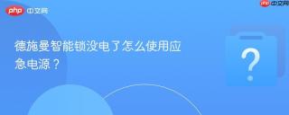 德施曼智能锁没电了怎么使用应急电源？
