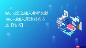 Word怎么插入参考文献 Word插入尾注对齐方法【技巧】