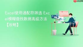 Excel使用通配符筛选 Excel模糊查找数据高级方法【攻略】