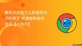 搜狗浏览器怎么恢复刚关闭的网页 快捷键恢复标签页【小技巧】
