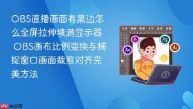 obs直播画面有黑边怎么全屏拉伸填满显示器 obs画布比例变换与捕捉窗口画面裁剪对齐完美方法
