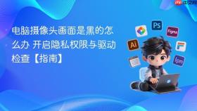 电脑摄像头画面是黑的怎么办 开启隐私权限与驱动检查【指南】