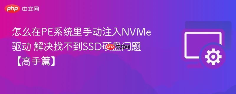 怎么在pe系统里手动注入nvme驱动 解决找不到ssd硬盘问题【高手篇】