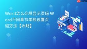 Word怎么分段显示页码 Word不同章节单独设置页码方法【攻略】