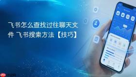 飞书怎么查找过往聊天文件 飞书搜索方法【技巧】